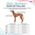 Miniatyrbillede 5 af 6: Hundesele Company of Animals Grå S 28-42 cm
