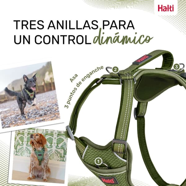 Hundesele Company of Animals Grøn XS 20-32 cm