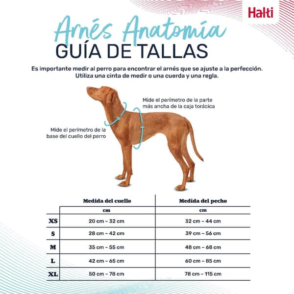 Hundesele Company of Animals Grøn XS 20-32 cm