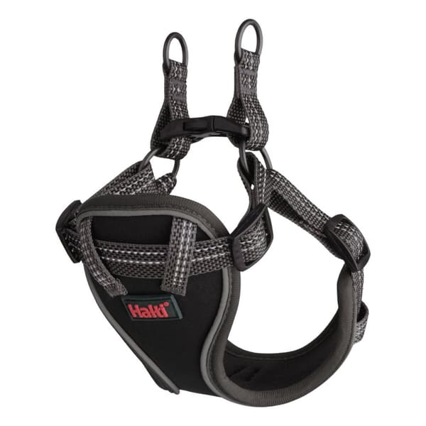 Koiran valjaat Company of Animals Harmaa XS 28-44 cm
