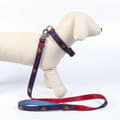 Miniatyrbild 3 av 6: DoHundkoppel DC Pets