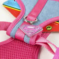 Miniatyrbild 5 av 5: Hundsele Superman