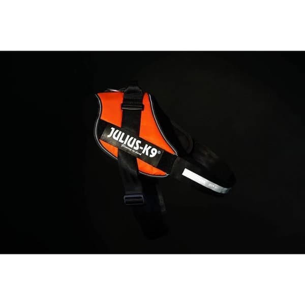 Hundsel för Hund - JULIUS K-9 - IDC-Power - Orange Fluo - Storlek 4 - 14 kg och mer