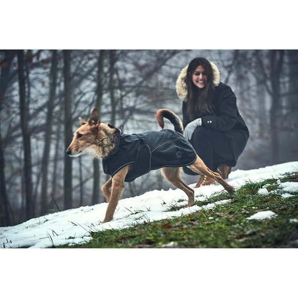 Hunter Uppsala Softshell Coat, - 62950