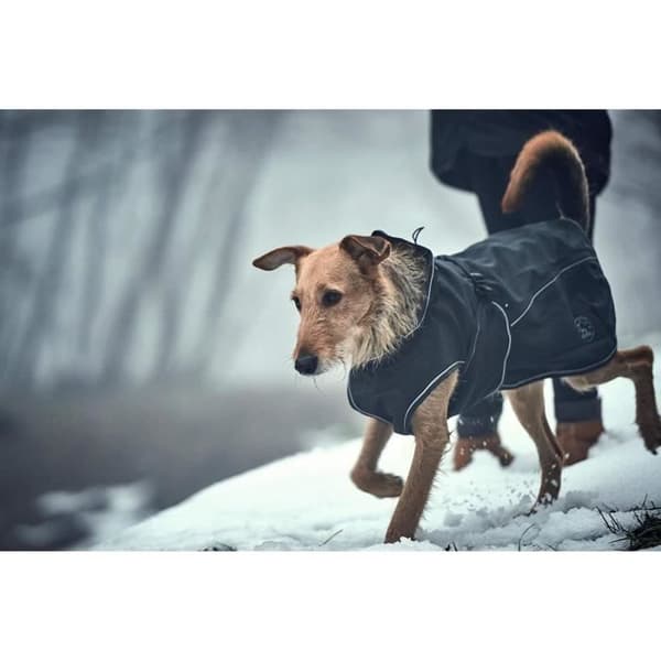 Hunter Uppsala Softshell Coat, - 62950
