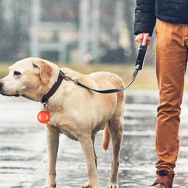 LED-lampe for kjæledyr Rød
