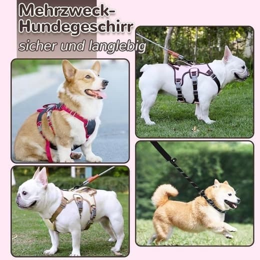 Justerbar Dragsele För Hund Sele – Svart, Rosa, Gul S/M/L