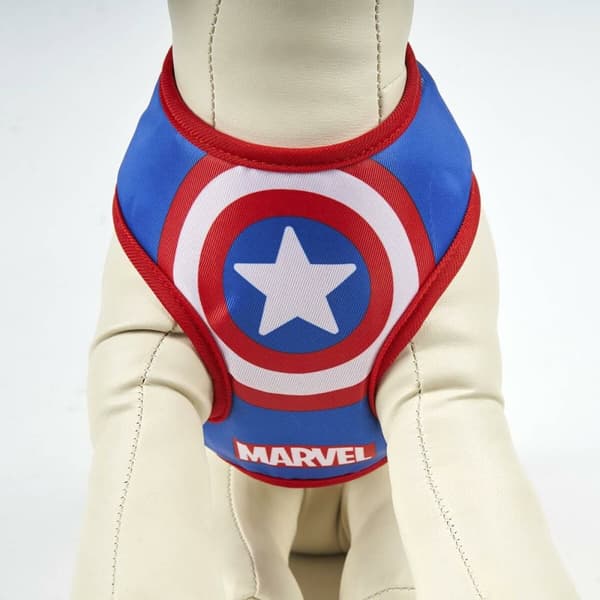 Koiran valjaat Marvel XS