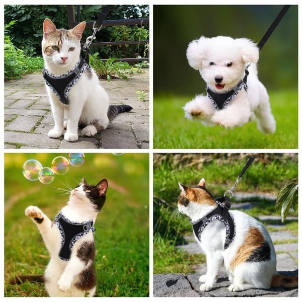 Hunde- og kattesele, justerbar, med snor, reflekterende, blød og sikker