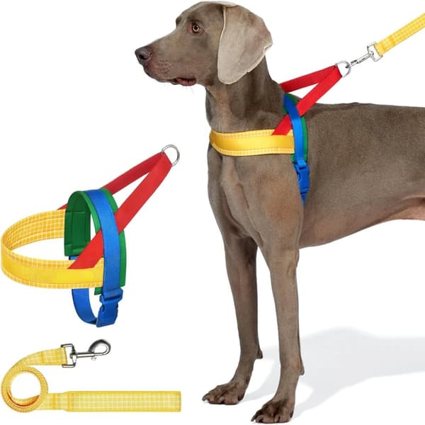 Hundesele, Justerbar Størrelse M, Komfortabelt og Stilfuldt Design,8-29.9 Chroma Gul