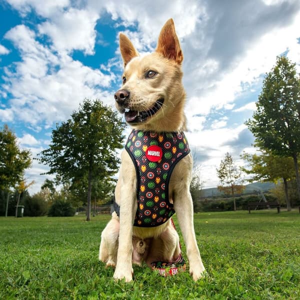 Hundesele Marvel M/L