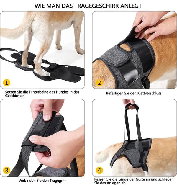 Moorle Hundesele Ryglæn Sele Støttesele Trækfri sikkerhedssele til assistance
