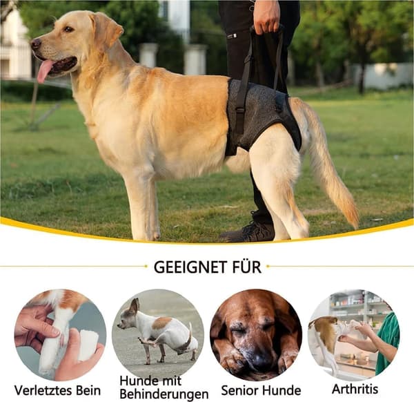 Moorle Hundesele Ryglæn Sele Støttesele Trækfri sikkerhedssele til assistance