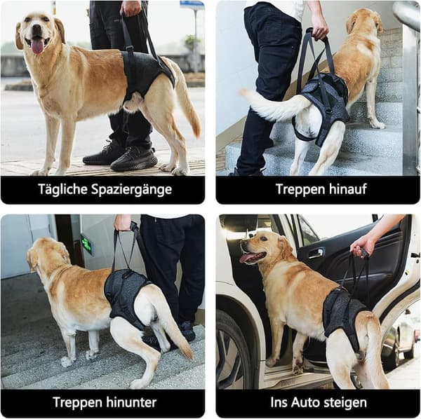 Moorle Hundesele Ryglæn Sele Støttesele Trækfri sikkerhedssele til assistance