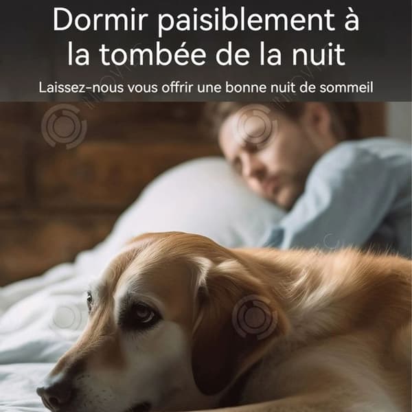 INN Collier mot skallande hund med vattentät fjärrkontroll IP67 uppladdningsbart skallande hundhalsband