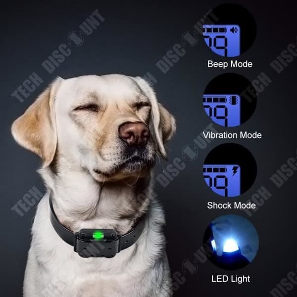 TD® helautomatisk uppladdningsbar fjärrkontroll Hundhalsband Hundtränare Vattentät 800 meter lång distans