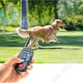 Miniatyrbild 3 av 4: TD® privat modell för hundträning, skällstoppare, vibrationsvarning för elektriska stötar