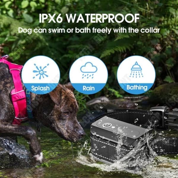 TD® Dog Bark Control Device Electric Shock Training Vattentät halsband Fjärrkontroll Bark Stopper