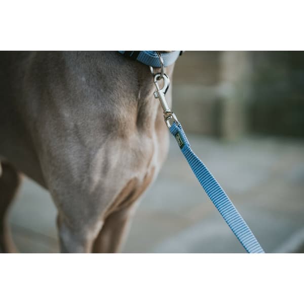 DoHundkoppel Hunter Blå 100 cm