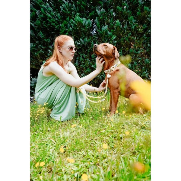 Hundehalsbånd Hunter Malia Lime L 50-59 cm