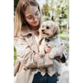 Miniatyrbillede 5 af 7: Hundesele Hunter DIVO UP Beige M