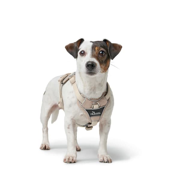 Hundesele Hunter DIVO UP Beige S