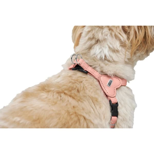 Koiran valjaat Hunter SOHO MINI Pinkki XS