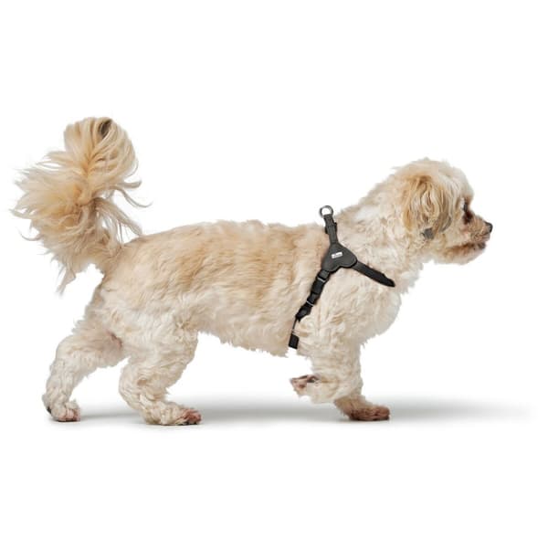 Hundesele Hunter SOHO MINI Sort XS/S