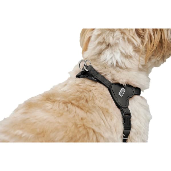 Hundesele Hunter SOHO MINI Sort XS/S