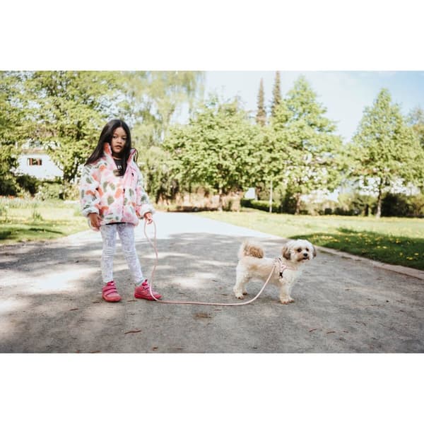Hundsele Hunter SOHO MINI Rosa XXS/XS