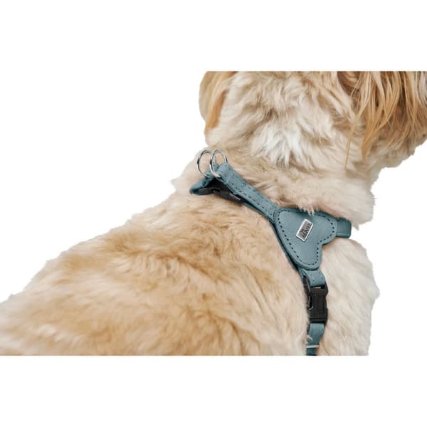 Hundesele Hunter SOHO MINI Blå XS