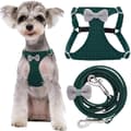 Miniatyrbillede 1 af 2: Lille Hundesele, Justerbar Pasform, Stilfuldt Ternet Design,tted Grøn S9-17.5lb