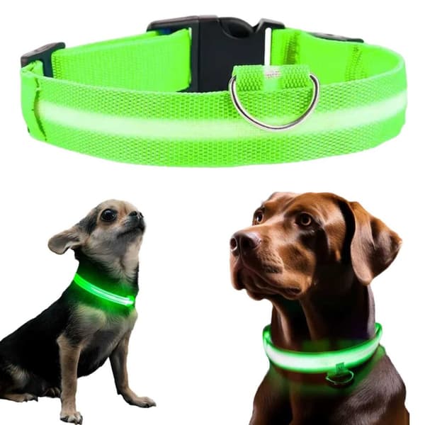 Lysande LED Hundhalsband Grön S