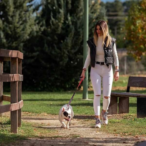 DoHundkoppel DC Pets