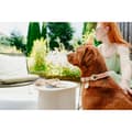Miniatyrbild 5 av 5: DoHundkoppel Hunter MALIA Beige 1 x 200 cm