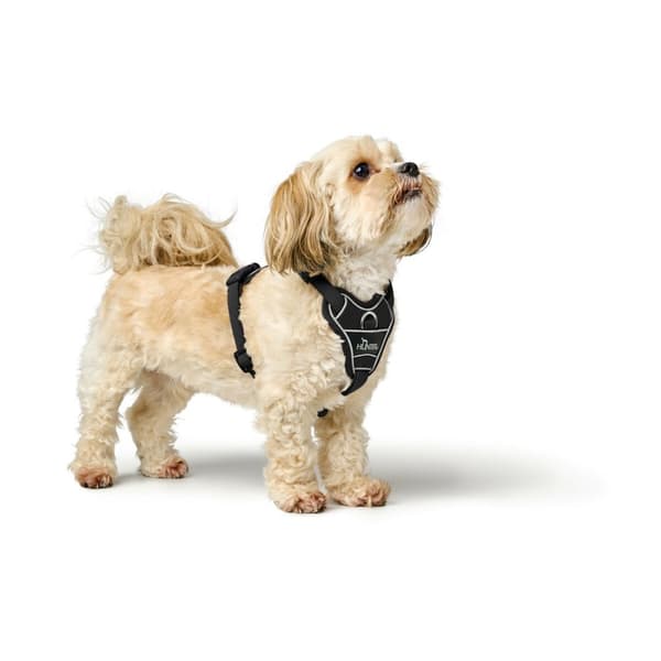Hundsele Hunter DIVO UP Svart S/M