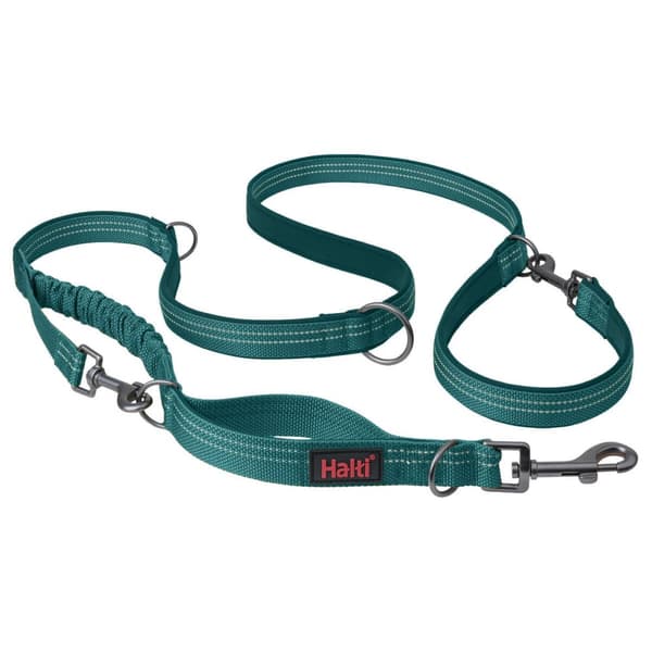 Hundeleder Company of Animals Turkis S