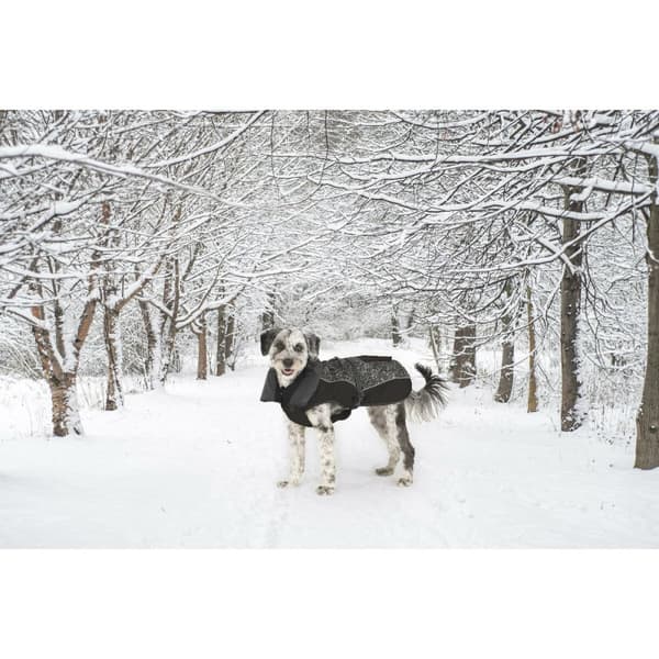 Hundefrakk Dog Gone Smart Svart 55 cm
