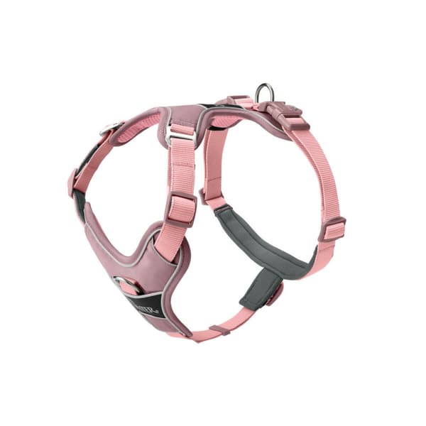 Hundesele Hunter DIVO UP Rosa L