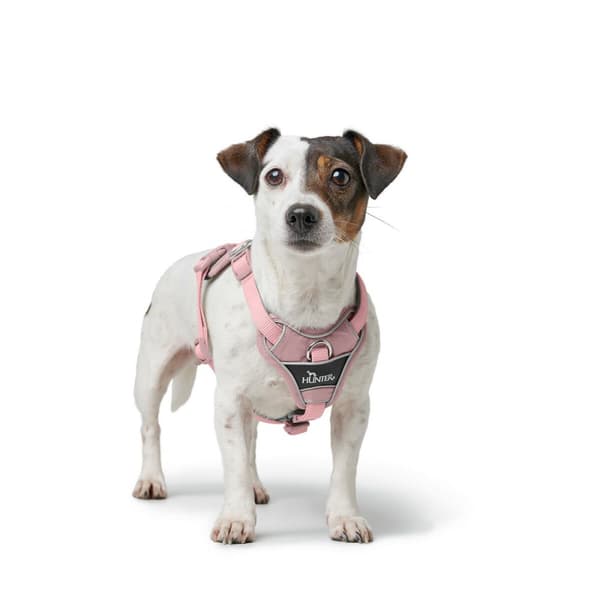 Hundesele Hunter DIVO UP Rosa L/XL