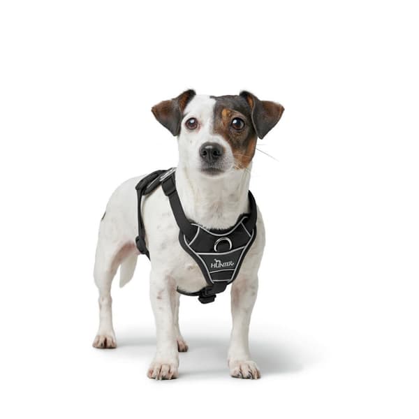 Hundesele Hunter DIVO UP Svart L