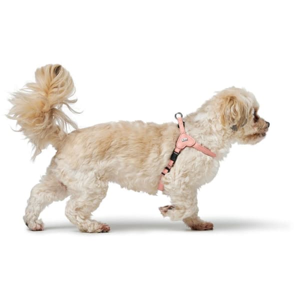 Hundesele Hunter SOHO MINI Rosa XS/S
