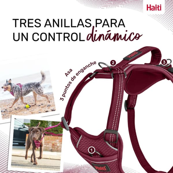 Hundesele Company of Animals Bourgogne XL 50-78 cm