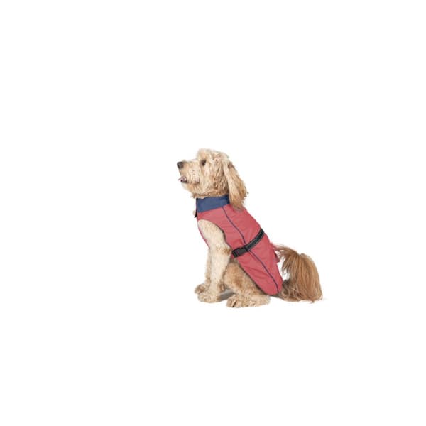 Hund regnfrakke Dog Gone Smart Koral 50 cm