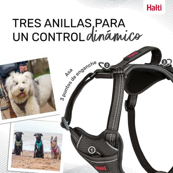 Koiran valjaat Company of Animals Harmaa M 35-55 cm