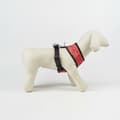 Miniatyrbillede 8 af 10: Hundesele Minnie Mouse XS
