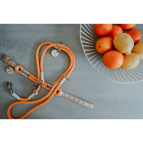 Hundehalsbånd Hunter Malia Orange M/L 45-54 cm