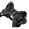 Miniatyrbillede 2 af 6: Hundesele Hunter DIVO UP Sort XS