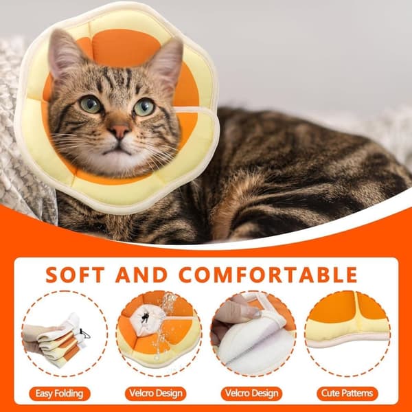 Beskyttelseshalsbånd til katte, velegnet til katte og små hunde, justerbart halshalsbånd til katte