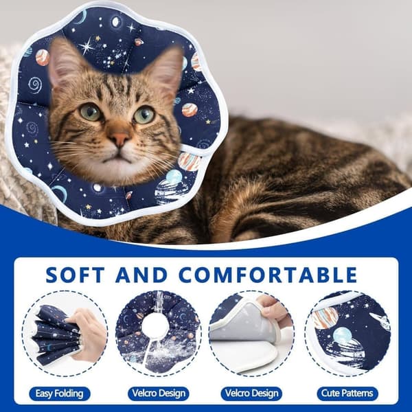 Beskyttelseshalsbånd til katte, velegnet til katte og små hunde, justerbart halshalsbånd til katte